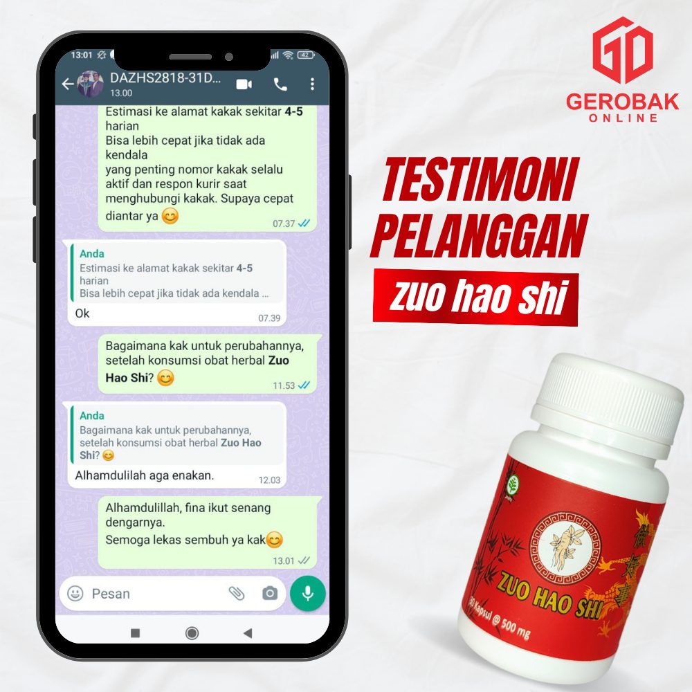 Zuo Hao Shi - Obat Cina Herbal Saraf kejepit - 1 pcs ( KI ) 6
